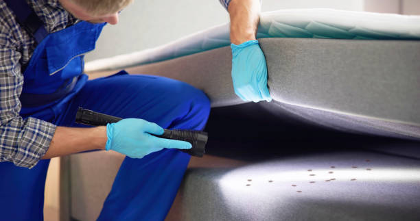 Best Mosquito Control Services  in Severance, CO