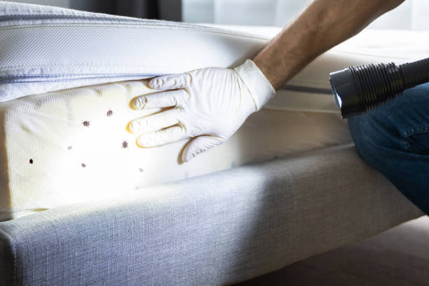 Pest Prevention Services in Severance, CO