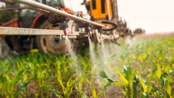 Best Local Pest Control Services  in Severance, CO
